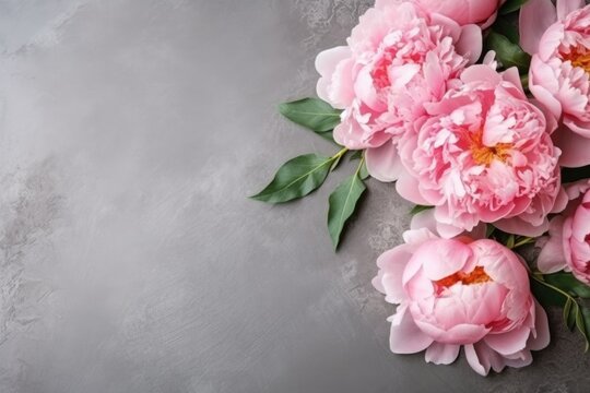pink peony flowers, ai generative