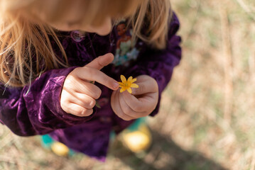 The child holds a yellow ranunculus flower and a leaf in his hand. concept for the environment....