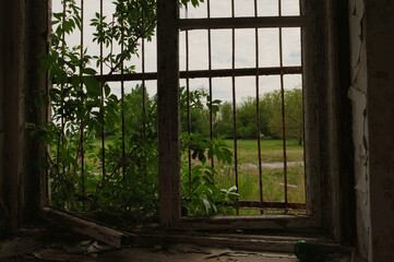 Fenster Gitter Decay - Verlassener Ort - Urbex / Urbexing - Lost Place - Artwork - Creepy -...