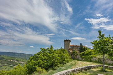 Fototapeta na wymiar vue du château du village médiéval de Viens, Vaucluse, France