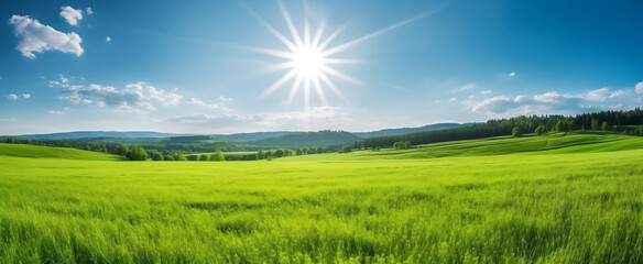 Fototapeta na wymiar Vibrant Spring Meadow against a Blue Sky with Sun Flare, generative AI