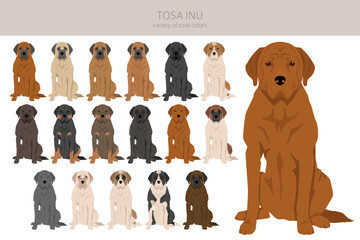 Tosa Inu clipart. Different poses, coat colors set
