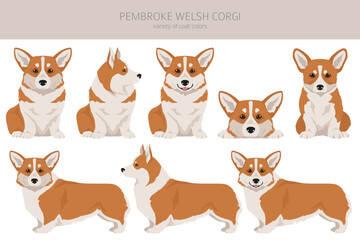 Welsh Corgi Pembroke clipart. All coat colors set.  All dog breeds characteristics infographic