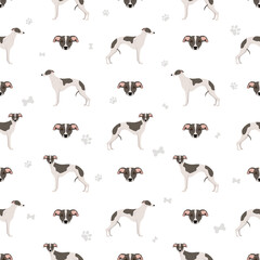 Whippet seamless pattern. Different poses, coat colors set