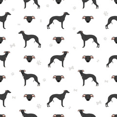 Whippet seamless pattern. Different poses, coat colors set