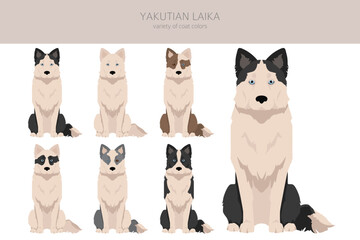 Yakutian Laika  clipart. Different poses, coat colors set