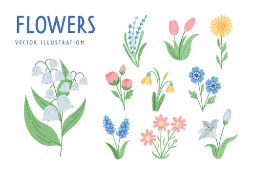 Cute Flower Illustrations