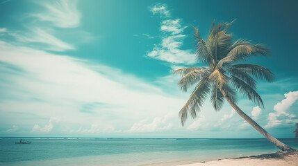 Tropical beach with white sand and palm