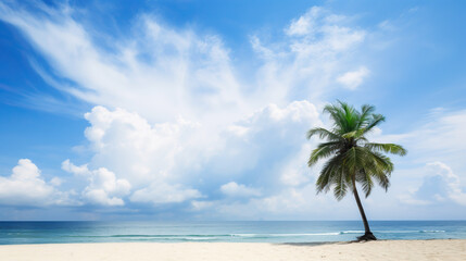 Fototapeta na wymiar Tropical beach with white sand and palm