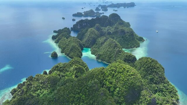 Bright sunlight shines on forest-covered limestone islands that rise from Raja Ampat's dramatic seascape. This remote part of Indonesia is known for its incredibly high marine biodiversity.