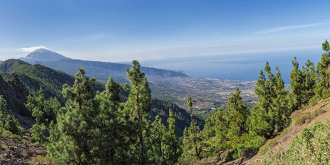 Obraz premium Mount Teide volcano, Teide National Park, Tenerife, Canary Islands, Spain