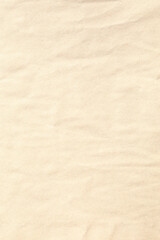 Vertical Old brown crumpled paper texture