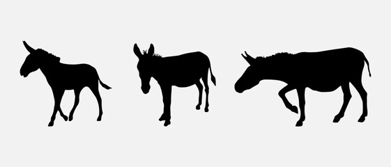 isolated black silhouette of a donkey , vector collection