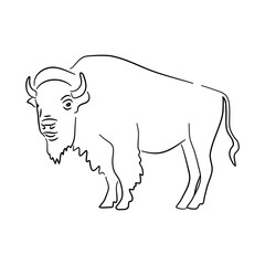 Bison in doodle style. Icons sketch hand made. Vector.