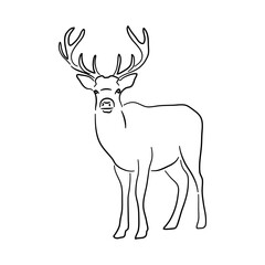 Sketch hand drawn silhouette of a Deer. Doodle vector isolated on a white background.
