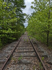 railway in the forest