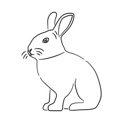 Sketch hand drawn silhouette of a Rabbit. Doodle vector isolated on a white background.