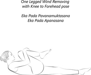Sketch of young woman practicing yoga, doing One Legged Wind Removing with Knee to Forehead pose. Eka Pada Pavanamuktasana. Eka Pada Apanasana. Vector illustration isolated on transparent background.