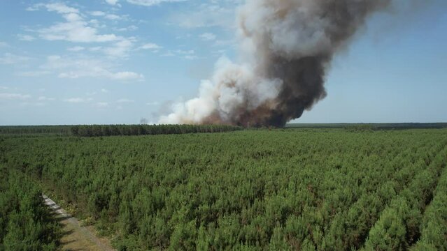forest fire in Saint Justin, France