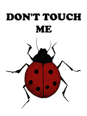 ladybug on white background