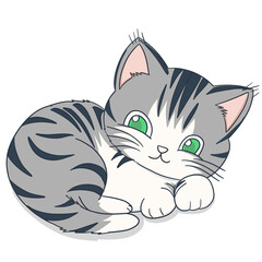 cute cat illustration