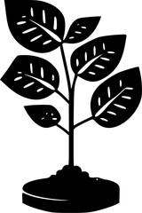 Plant - Black and White Isolated Icon - Vector illustration