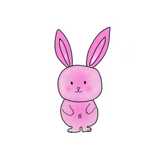 rabbit isolated on white