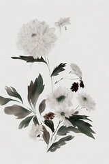 Chrysanthemum illustration watercolor