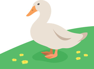 Female duck standing on the green grass. Farm fowl. Domestic animal flat cartoon illustration. Spring meadow background