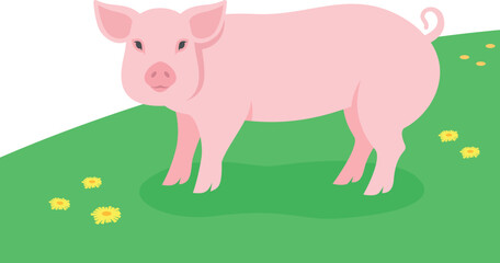 Pig standing on the green grass. Domestic farm animal grazing in a spring meadow. Flat cartoon illustration of swine. Summer grassland background