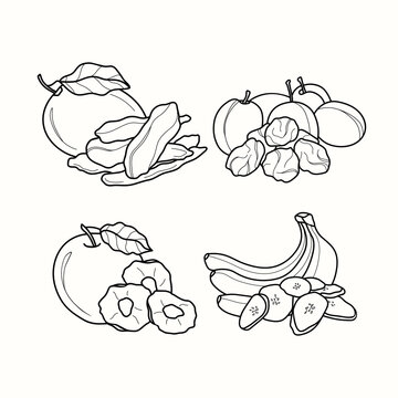 Line art dried fruits collection