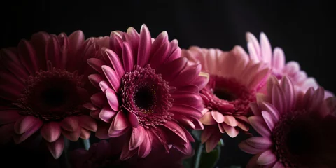 Foto op Aluminium Rosa Gerbera Blüten mit dunklen Hintergrund  - mit KI erstellt © Marc Kunze