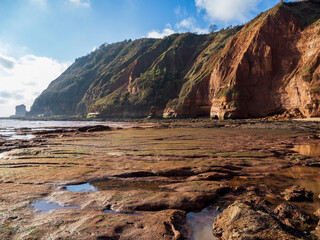 Rock Shelf, Rockpools and Red Sandstone Cliffs at Low Tide at the West end of Jacob's Ladder Beach in Sidmouth Devon, UK, in the January Winter Sunlight