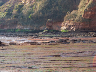 Rock Shelf, Rockpools and Red Sandstone Cliffs at Low Tide at the West end of Jacob's Ladder Beach in Sidmouth Devon, UK, in the January Winter Sunlight