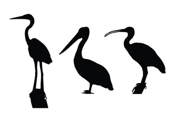 heron silhouette isolated on white