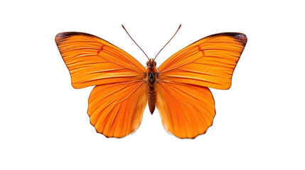 Fototapeta na wymiar Beautiful orange butterfly isolated on a white transparent background. Generative AI Illustration 