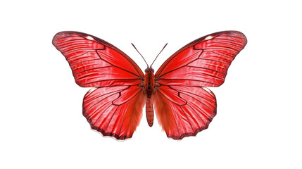 Beautiful red butterfly isolated on a white background. Generative AI Illustration	