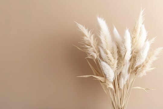Close-up of beautiful creamy dry grass bouquet. Soft blurred beige background. Floral home decoration
