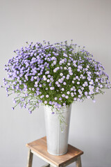 astra flowers in vase. Tender flower petals close up. Natural flower backdrop. Beautiful floral greeting card