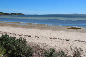 Fototapeta na wymiar littoral at kangaroo island (australia)