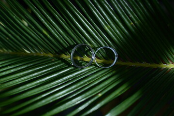 two wedding rings on a leaf in the background. The wedding ring is one of the symbols in marriage. a beautiful pair of wedding rings in silver color.