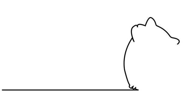 Continuous one line drawing. dog and cat logo. Black and white vector illustration3
