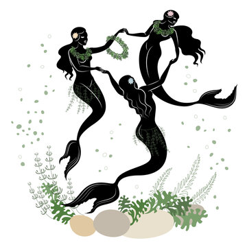 Mermaid silhouette. Beautiful girls swim in the water, dance. The lady is young and slim. Fantastic fairy tale image of algae, plants. vector illustration set