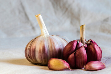 Garlic Cloves and Bulb on light gray rough background in Brazil. Copy space.