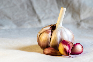 Garlic Cloves and Bulb on light gray rough background in Brazil. Copy space.