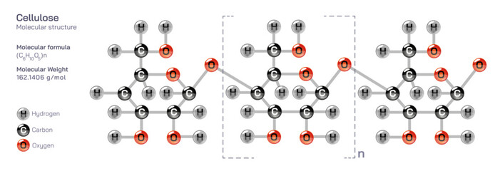 Cellulose molecular structure formula. Periodic table structural molecular formula Vector design. Pharmaceutical compounds and composition. Easily printable product with correct CPK colour. Plant