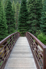 Fototapeta premium Colorado Footbridge
