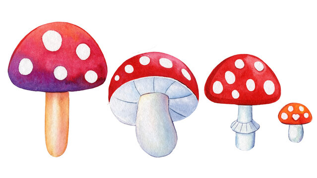watercolor mushrooms set, fly agaric on a white background, bright drawing. Hippie retro 70-60s design elements