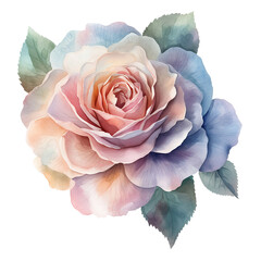 Pastel Rose Watercolor Clipart Illustration, wedding flower decoration, made with generative AI