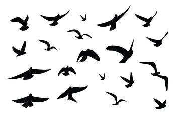 Vector illustration of a flock of flying birds on a white background.